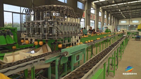 El Fòrum del Servei d'Origen d'Estandardització de la Primera Fruita